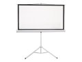 ATC-PJS01 projekciono platno 120 inča 16:9